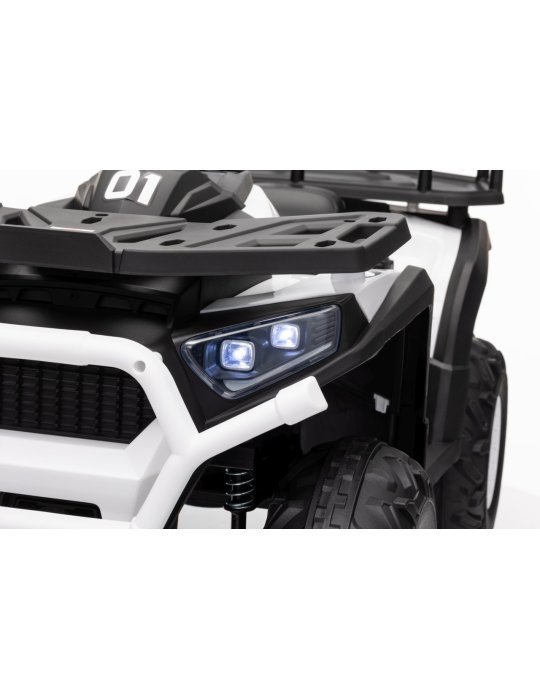 Quad ATV Robust 01
