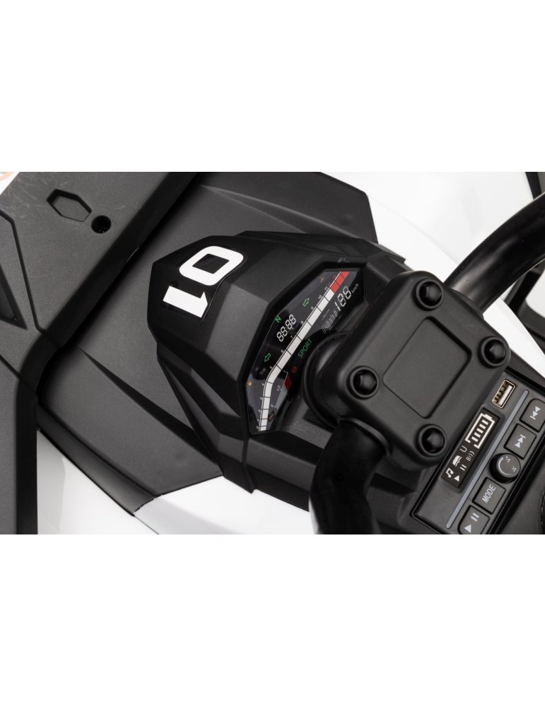 Quad ATV Robust 01 - Vista 53
