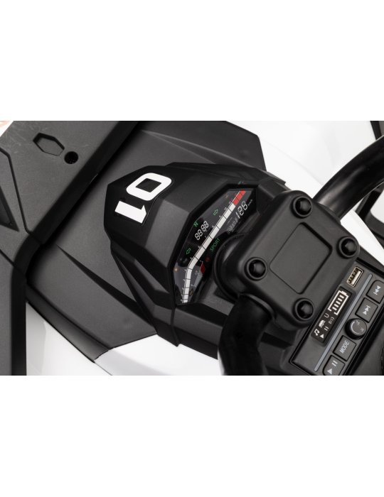 Quad ATV Robust 01