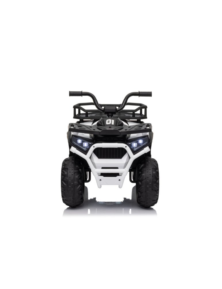 Quad ATV Robust 01 - Vista 54