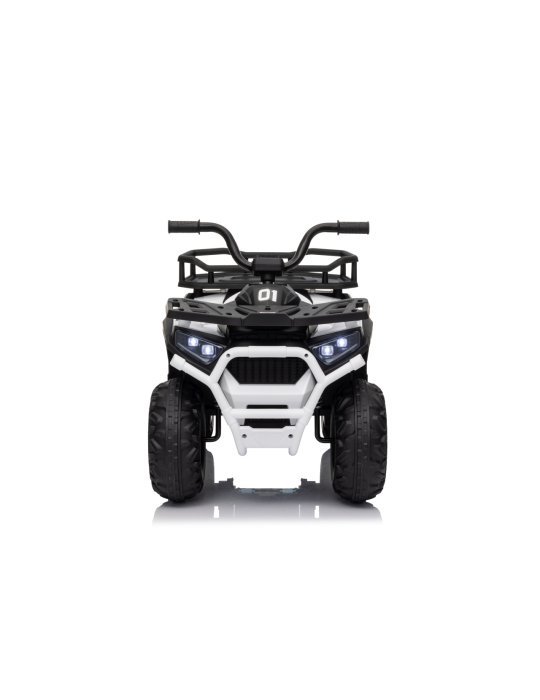 Quad ATV Robust 01