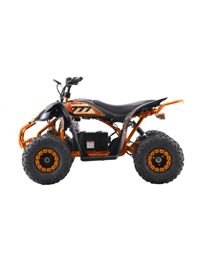 Quad Eléctrico Infantil Desert Storm Lift 800W 48V