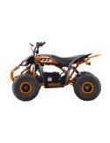 Vehicle DESERT STORM LIFT Quad Elétrico