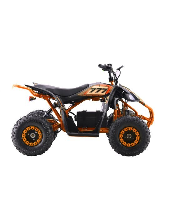 Vehicle DESERT STORM LIFT Quad Elettrico