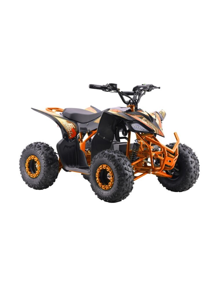 Vehicle DESERT STORM LIFT Quad Elettrico