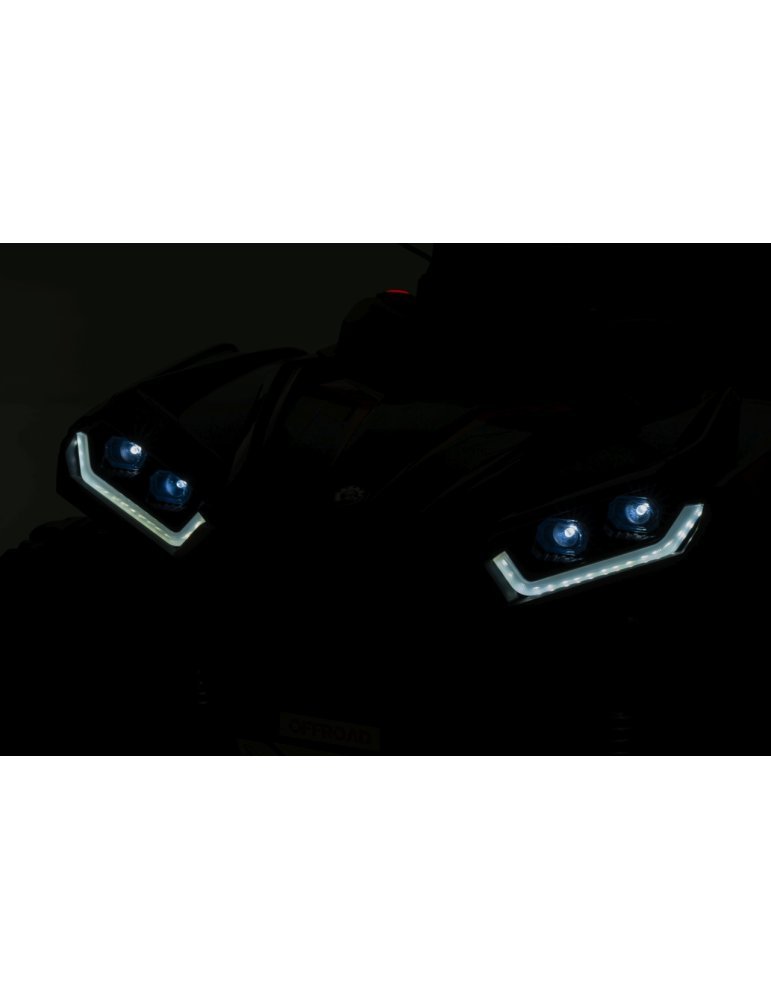 Sport TX ATV Electric Quad