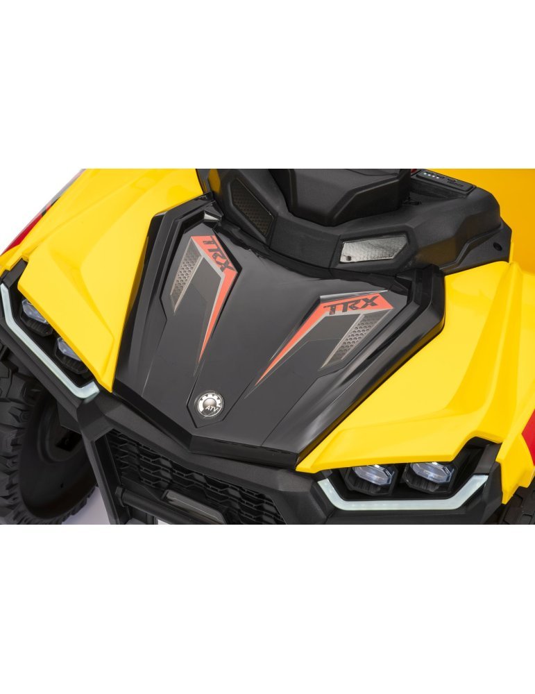 Sport TX ATV Quad Électrique - Vista 16