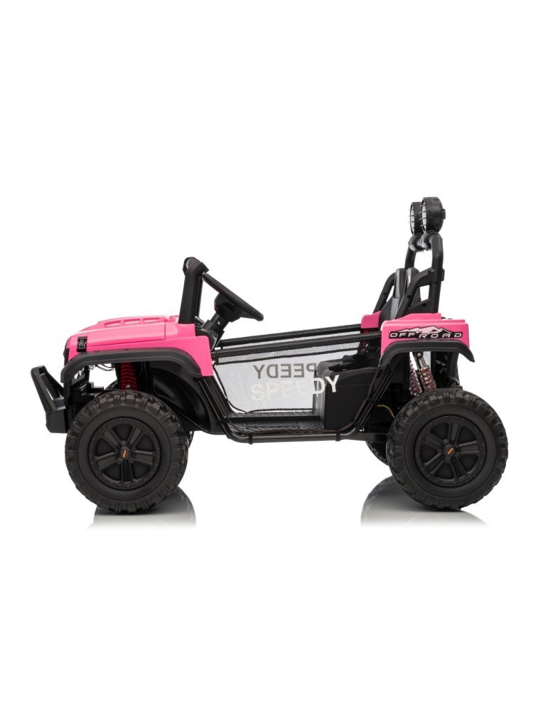 Todoterreno Eléctrico Biplaza Passion 4x4 24V 800W - Vista 1