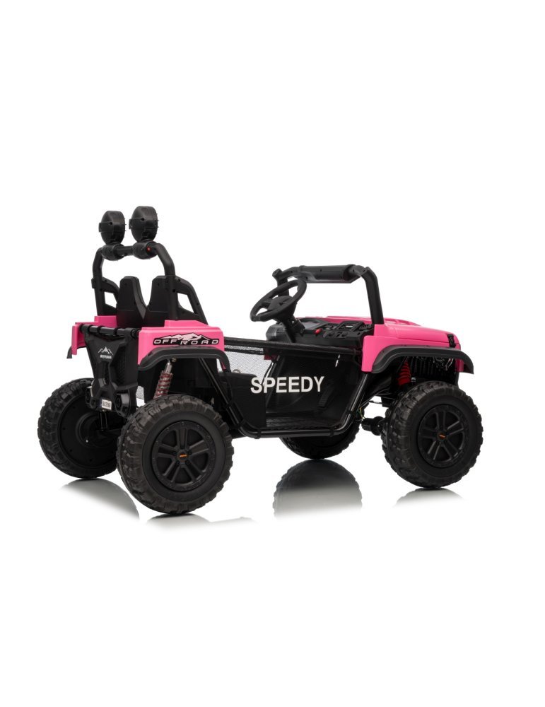 Véhicule Tout-Terrain Électrique Biplace Passion 4x4 24V 800W - Vista 7
