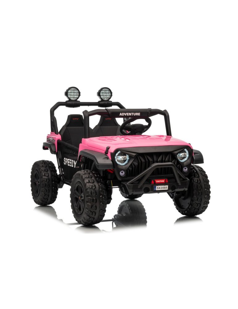 Véhicule Tout-Terrain Électrique Biplace Passion 4x4 24V 800W - Vista 11