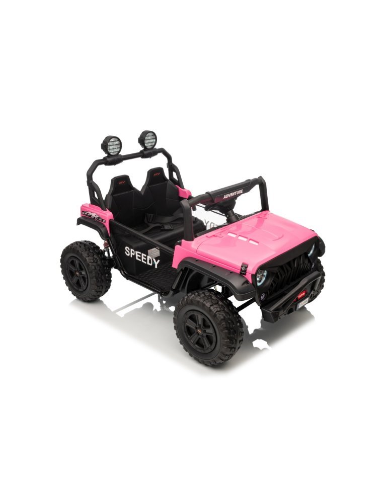 Véhicule Tout-Terrain Électrique Biplace Passion 4x4 24V 800W - Vista 12