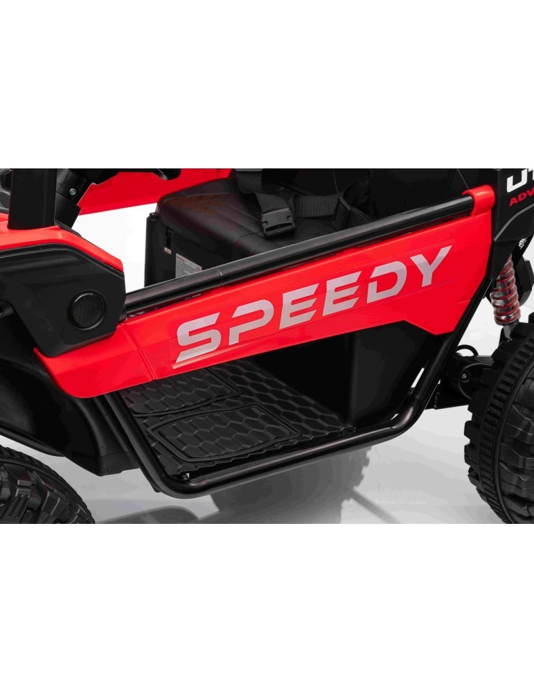 Buggy Elétrico Biplaza Speedy 4x4 24V 800W - Vista 24