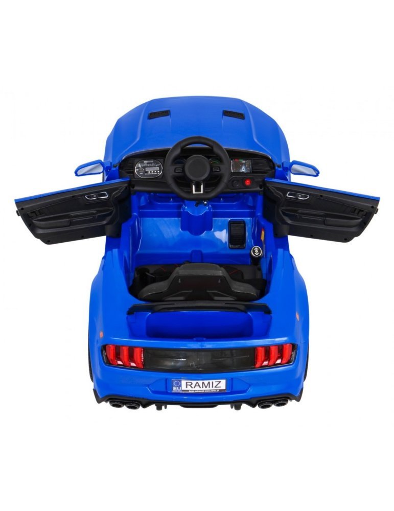 Sport GT Carro Elétrico - Vista 7