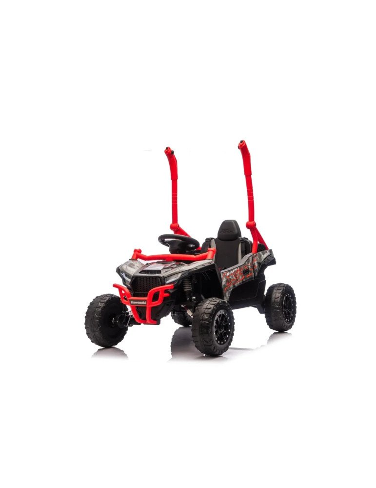 Kawasaki Buggy Terryx KRX1000 24V | Patilandia