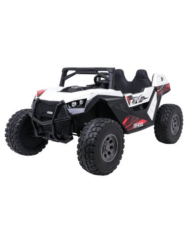 Buggy Elettrico Biposto RTR Monster Speed 4x4 24V