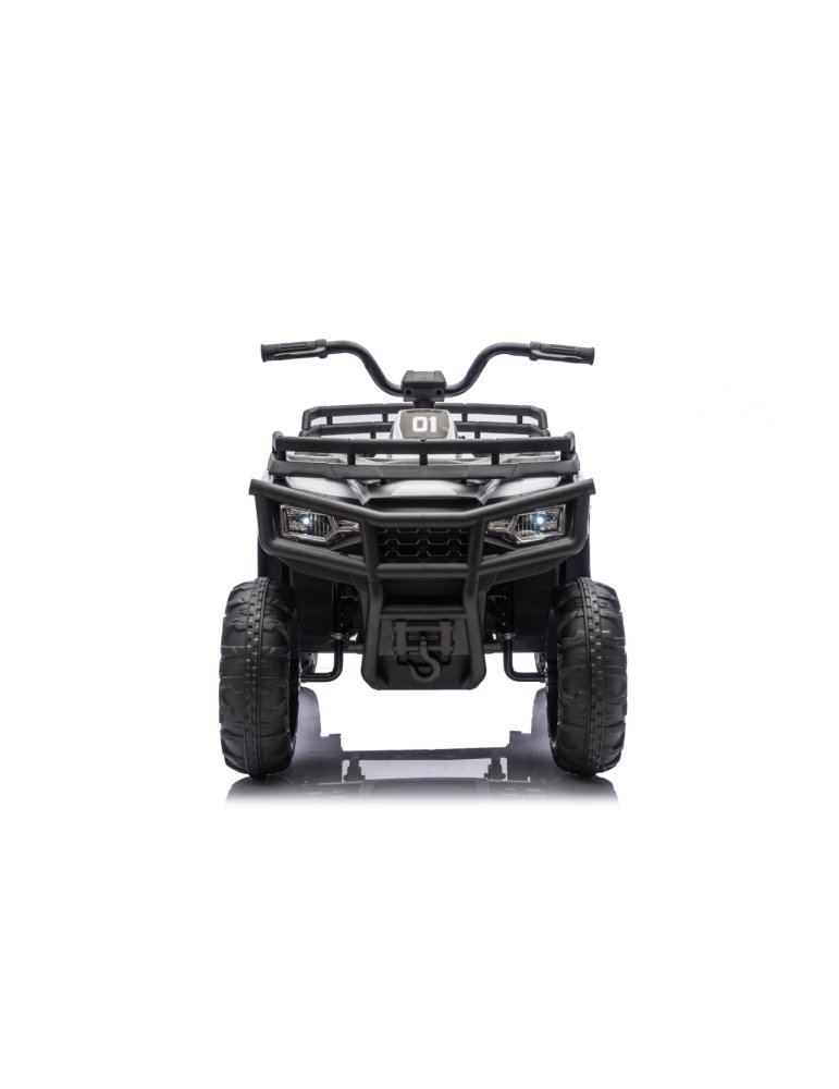 WOLF Blue 4x4 ATV Quad Vehicle Quad Elétrico - Vista 22