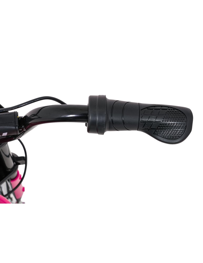 Kids Electric Cross Bike RZ56 MAX 24V 350W - Vista 21