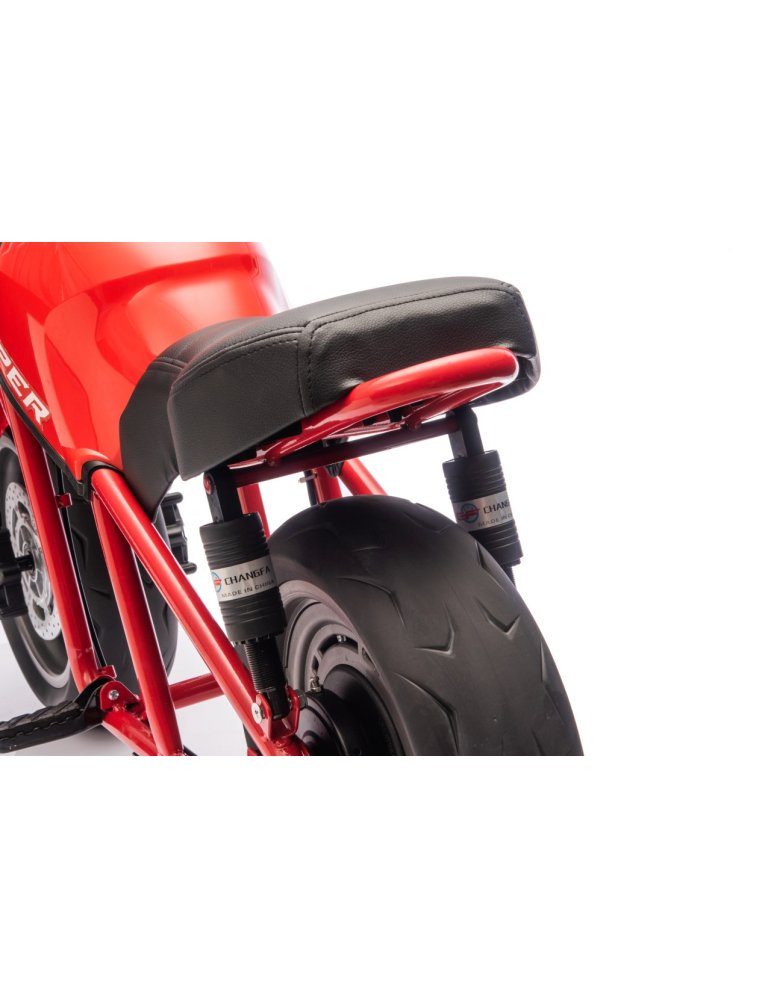 Motocicletta elettrica bambino 24V 300W | Rendimento 6-10 anni | Patilandia