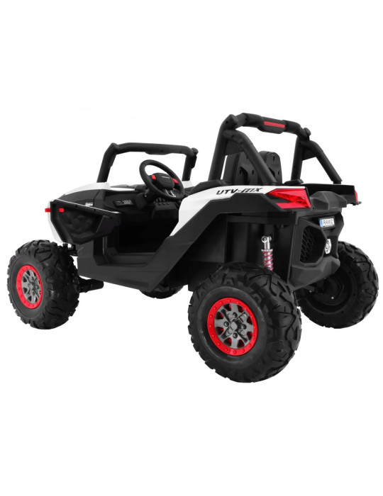 Buggy SuperStar 4 x 4 | Patilandia