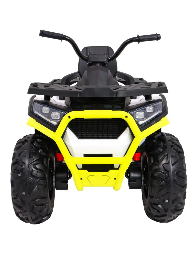 Quad ATV Desert