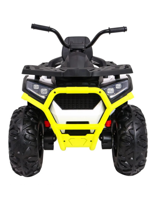 Quad ATV Desert
