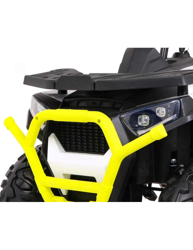 Quad ATV Desert