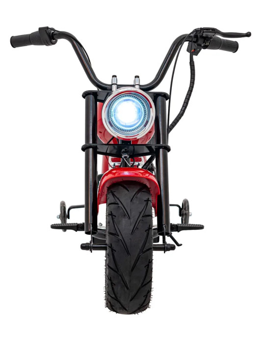 Motorcycle Chopper Warrior