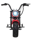 Motorcycle Chopper Warrior