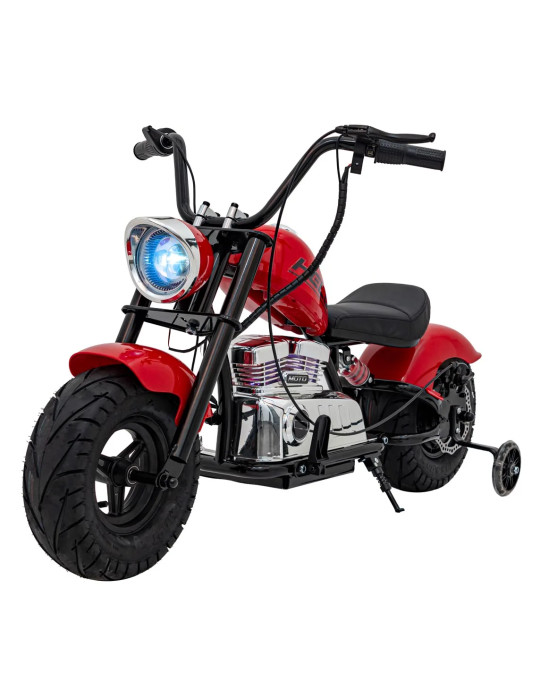Motorcycle Chopper Warrior