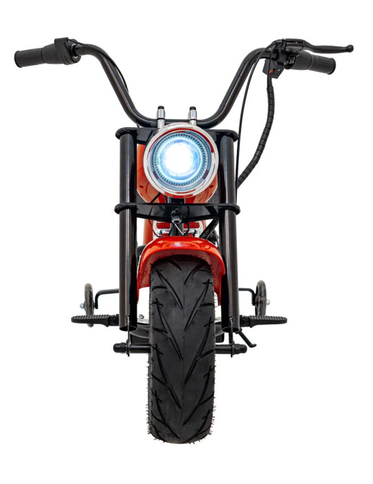 Motorcycle Chopper Warrior