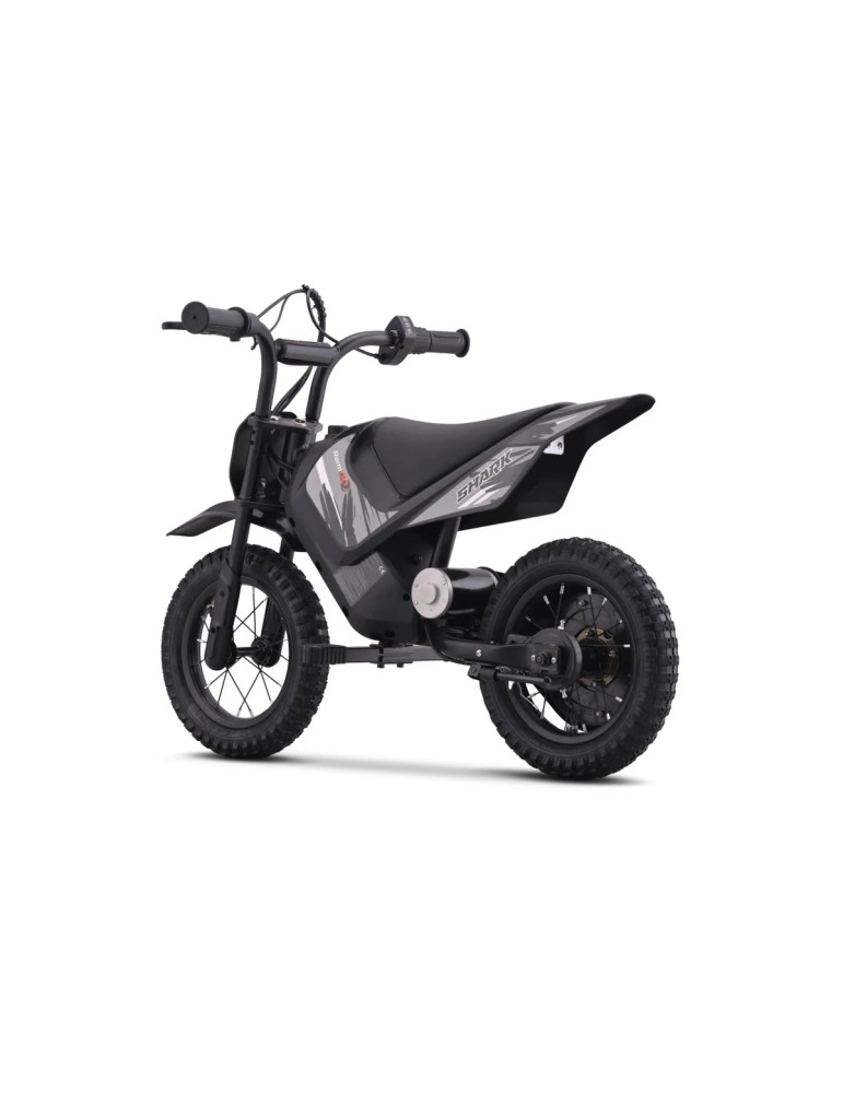 Moto Cross Elettrica Bambini 12V 150W | Patilandia - Vista 11