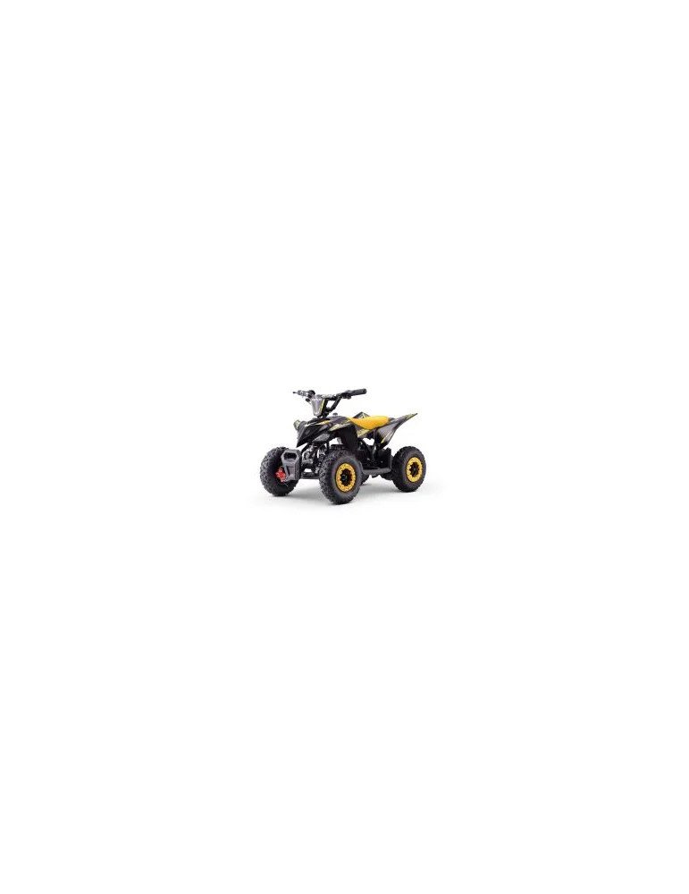 Kids Electric Quad Raptor 800W | Patilandia