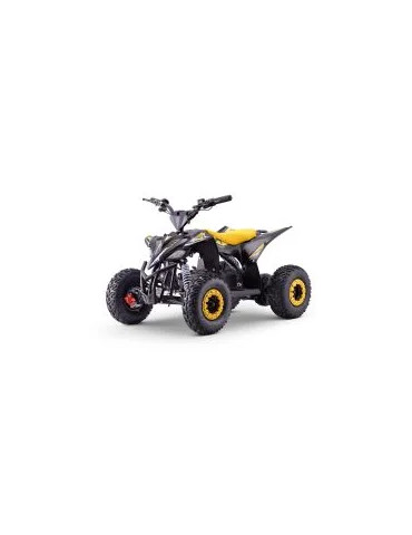 Quad elettrico bambini T-REX 1300W