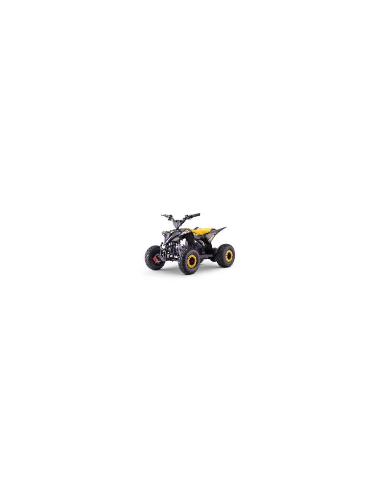 Quad elétrico infantil T-REX 1300W | Patilandia