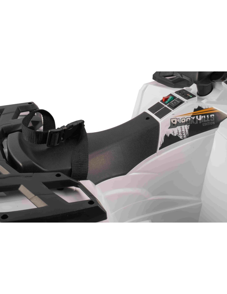 Quad elettrico bambini Arctic Cat 12V | Patilandia - Vista 3
