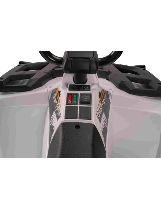 Quad eléctrico infantil Arctic Cat 12V | Patilandia