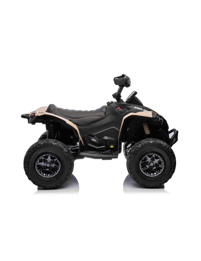 Buggy elétrico infantil Can-Am Renegade LED - Vista 14