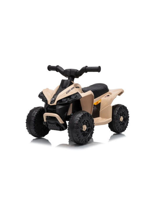Mini quad eléctrico infantil Can-Am Renegade RS 7,2V