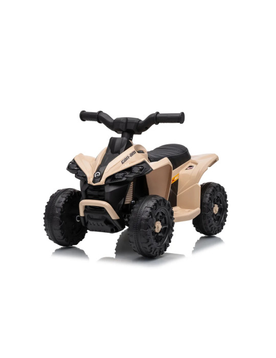 Mini quad eléctrico infantil Can-Am Renegade RS 7,2V