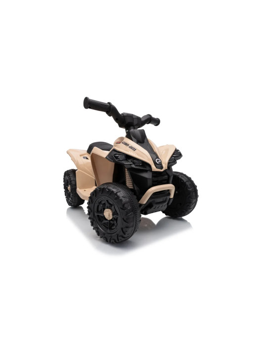 Mini quad eléctrico infantil Can-Am Renegade RS 7,2V