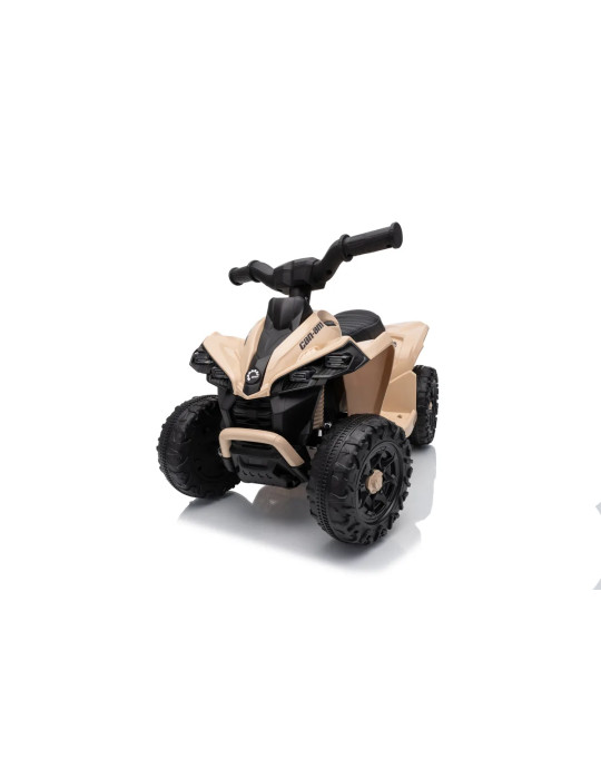 Mini quad eléctrico infantil Can-Am Renegade RS 7,2V