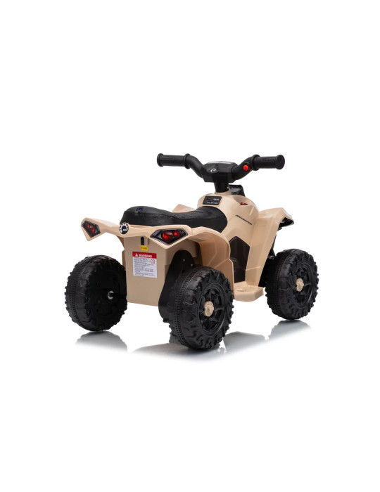 Mini quad eléctrico infantil Can-Am Renegade RS 7,2V
