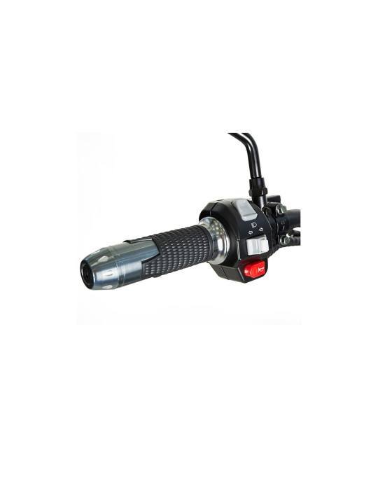 Electrical Patine Maverick II - Cityco Motor 1500W. MATRICULABLE 6 