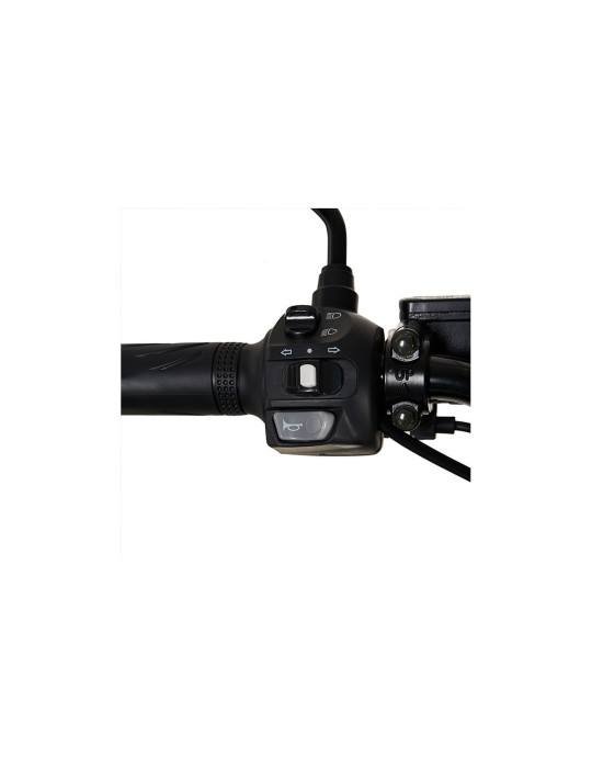 Moto eléctrica Intime. El scooter eléctrico perfecto para el reparto. 