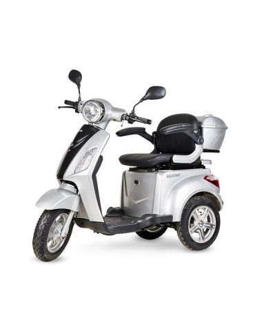 Reduced Mobility Motorcycle Assistant 650 w