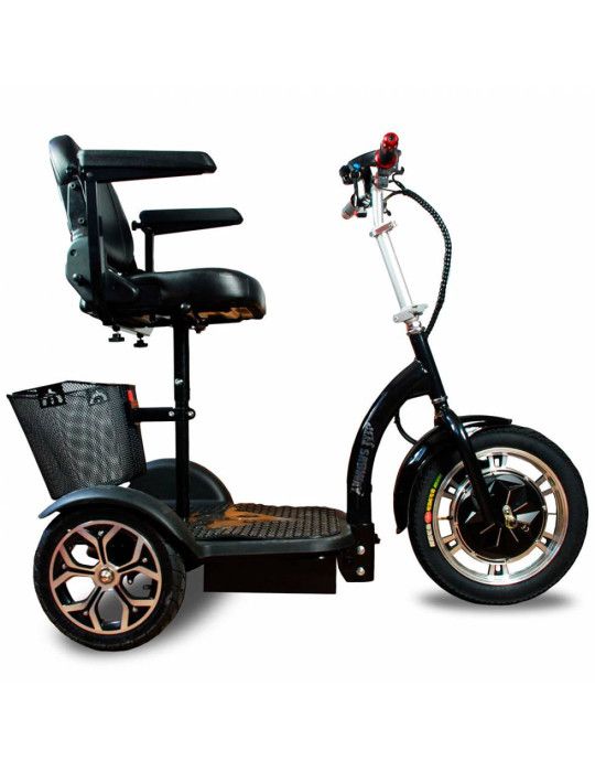 Triciclo Eléctrico de Movilidad Especial - Modelo 2020