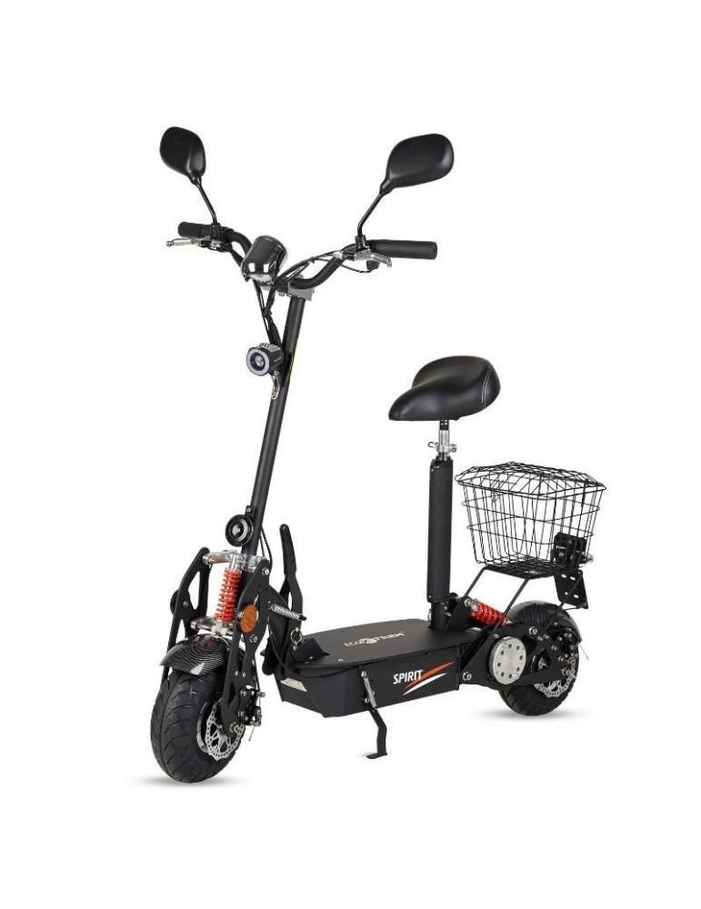 Scooter Électrique-Inscrits 1000w 12 