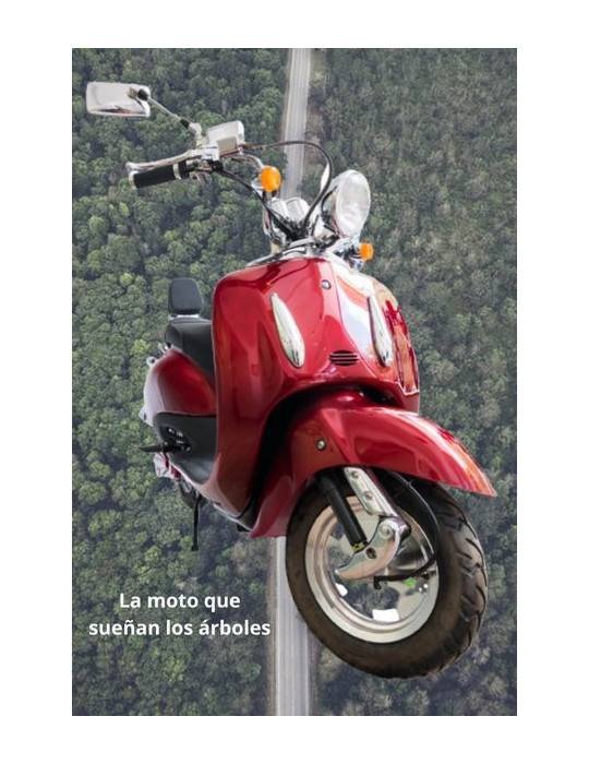 Trottinette électrique pour adultes LAS VEGAS 1 