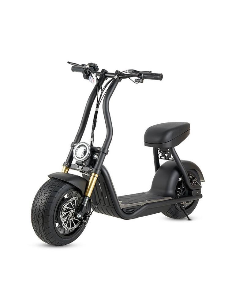 Moto eléctrica 1000W - Maverick H10 