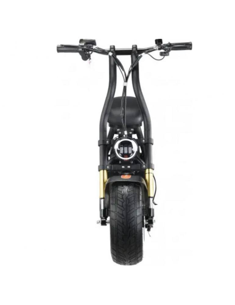 Moto eléctrica Maverick H10 - 1000W 3 